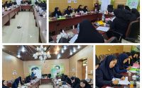 برگزاری کارگاه آموزشی تسهیلگران آگاهسازی پیشگیری از معلولیت ها در زاهدان