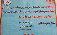 برگزاری کارگاه آموزشی توانمندسازی سازمانهای مردم نهاد سیستان و بلوچستان